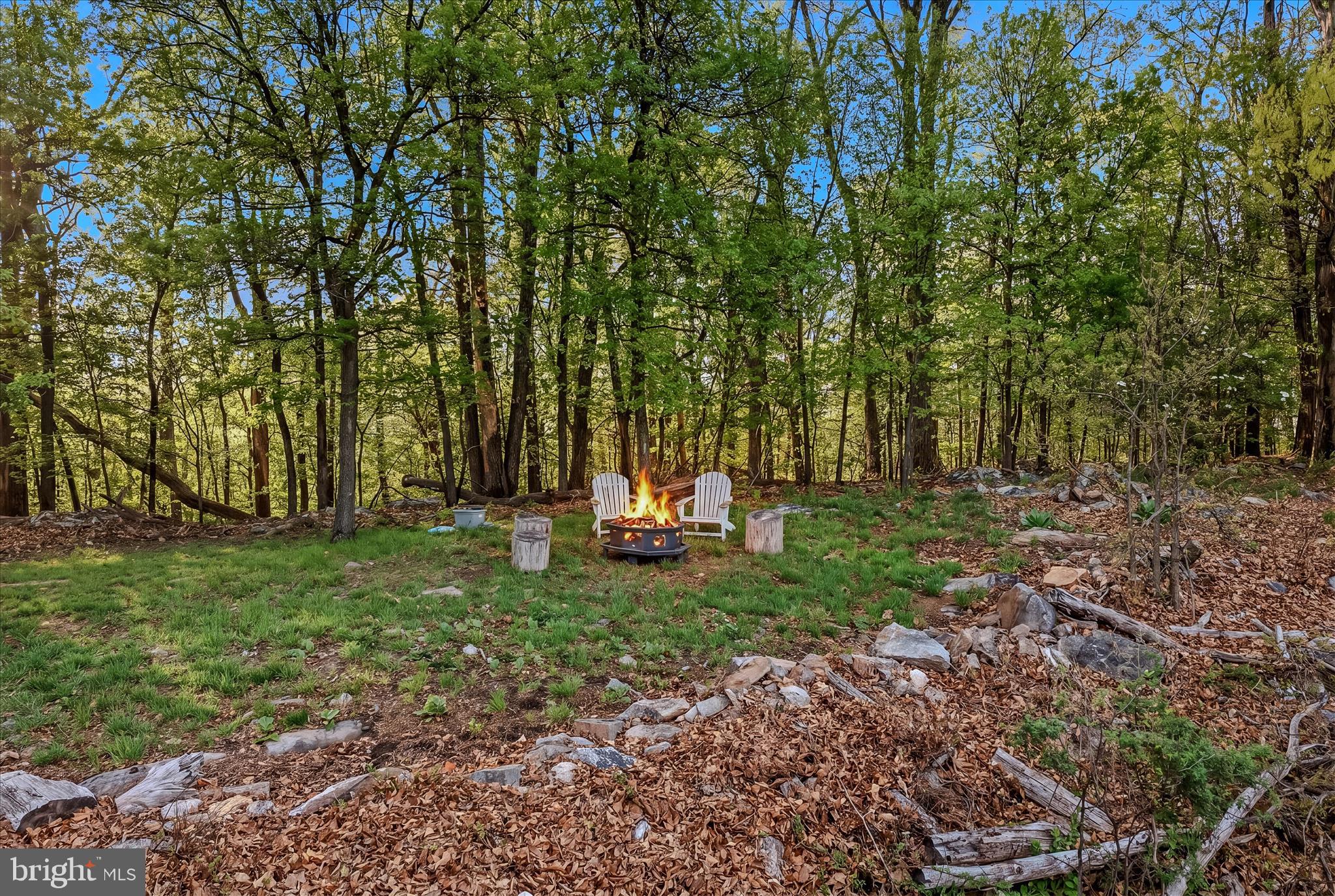 3877 Dry Run Road Martinsburg, WV 25403 - Photo 23 of 51 East Side Lookout