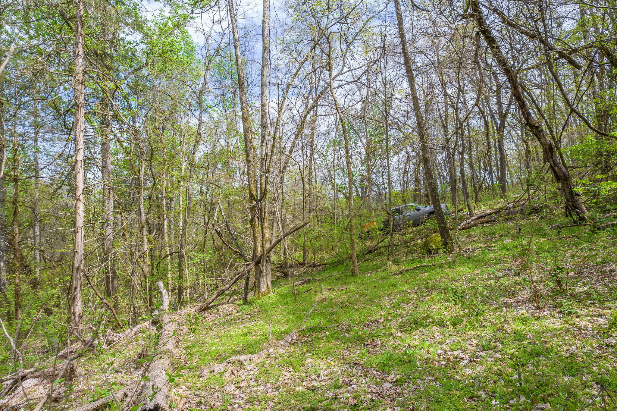 0 Doty Chapel Road Afton, TN 37616 - Photo 11 of 16 11-web-or-mls-Doty Chapel Rd 11