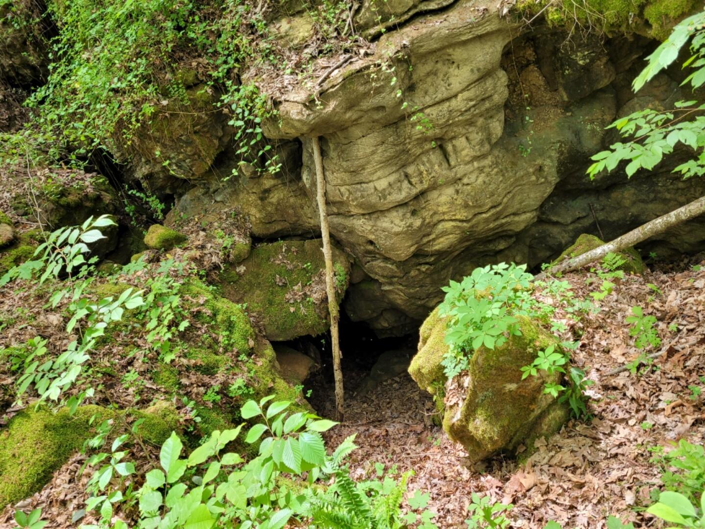 0 Doty Chapel Road Afton, TN 37616 - Photo 12 of 16 geecave1