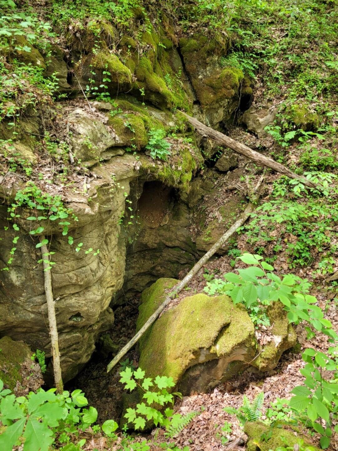 0 Doty Chapel Road Afton, TN 37616 - Photo 13 of 16 geecave2