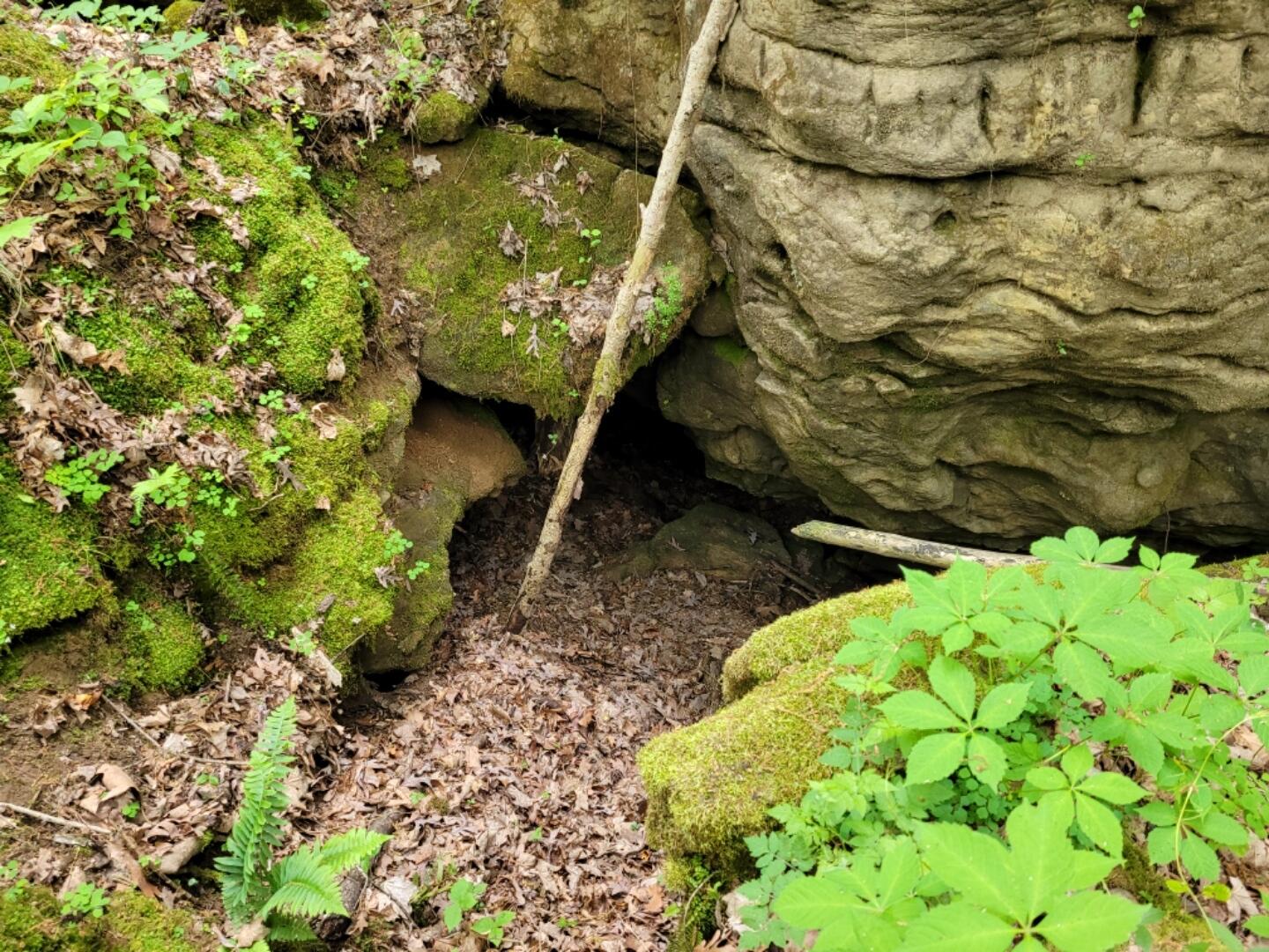 0 Doty Chapel Road Afton, TN 37616 - Photo 14 of 16 geecave3
