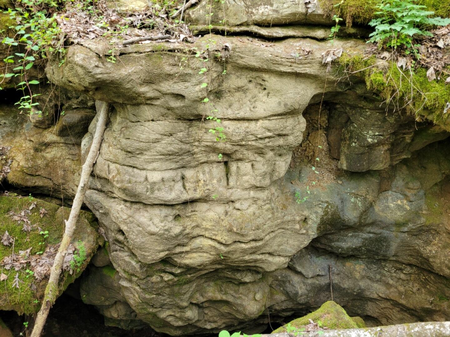 0 Doty Chapel Road Afton, TN 37616 - Photo 15 of 16 geecave4