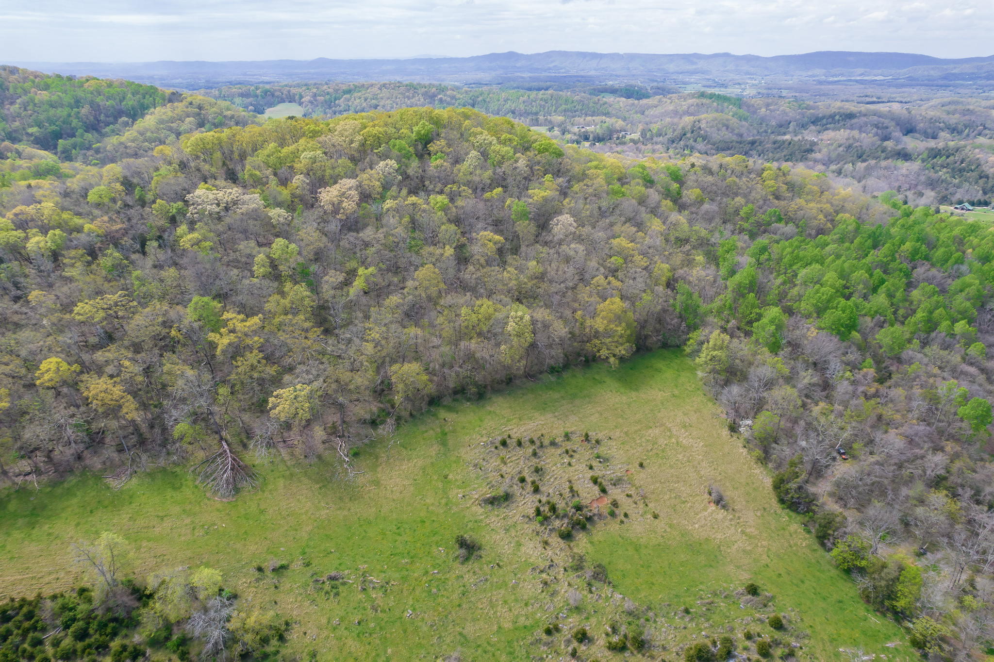 0 Doty Chapel Road Afton, TN 37616 - Photo 2 of 16 2-web-or-mls-Doty Chapel Rd 5