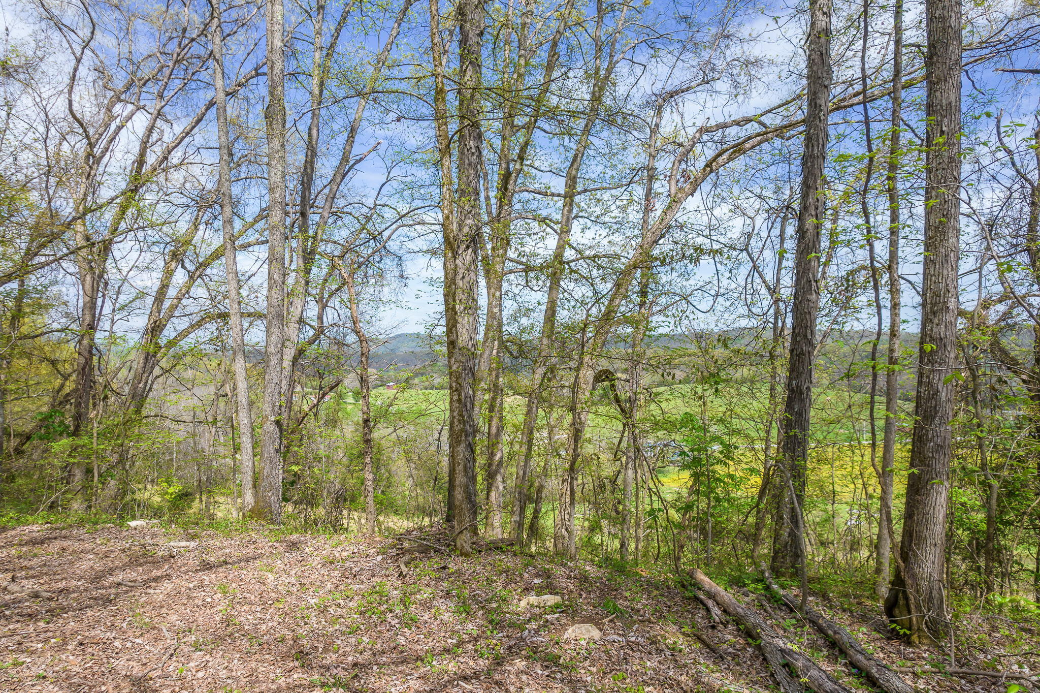 0 Doty Chapel Road Afton, TN 37616 - Photo 7 of 16 7-web-or-mls-Doty Chapel Rd 7