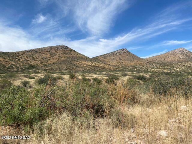 36 Acres Douglas Az 85607 Douglas, AZ 85607 - Photo 17 of 29