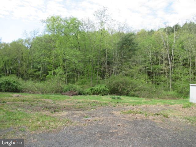 70 Narrows Road New Bloomfield, PA 17068 - Photo 10 of 24 Gallery Image 10