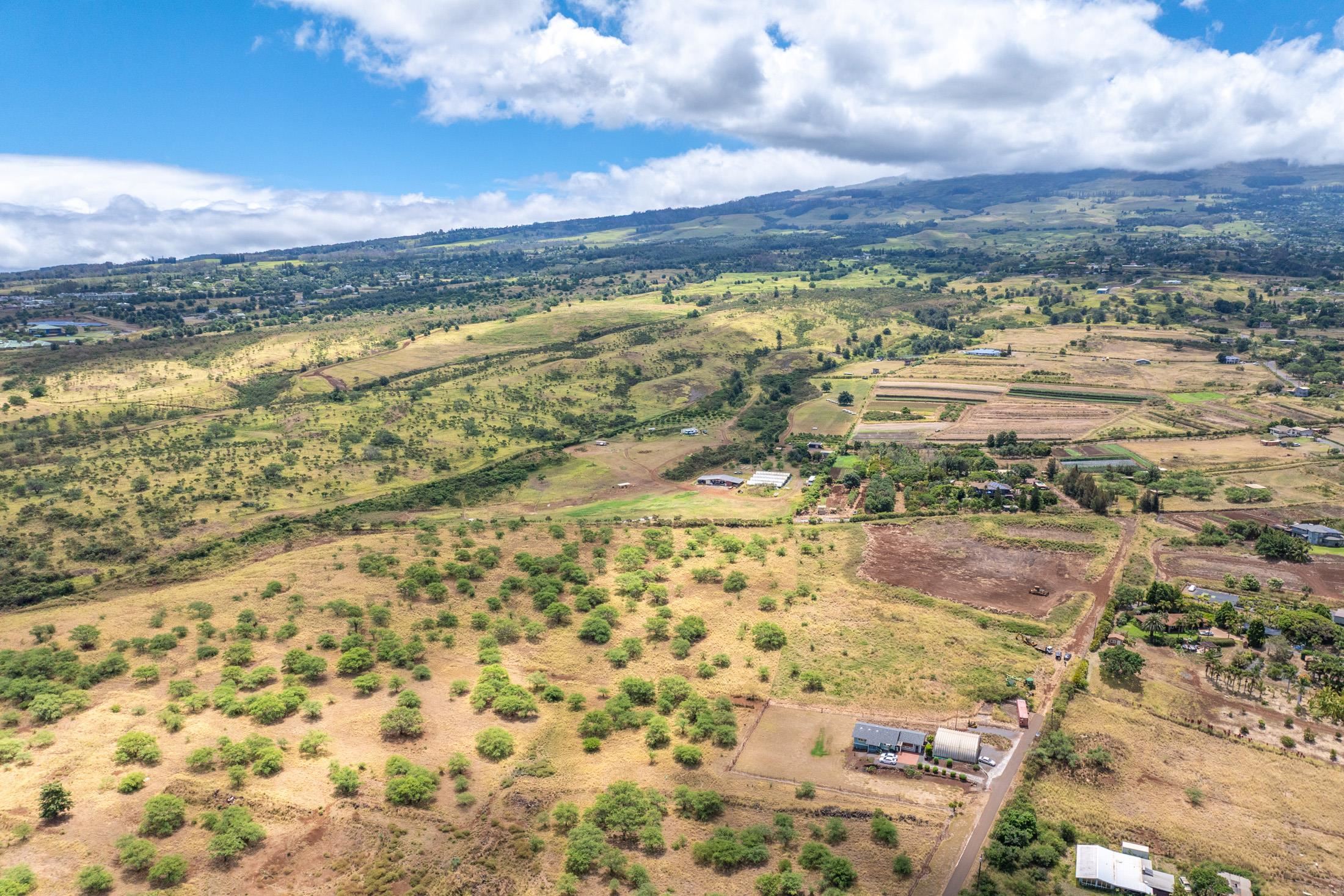 Omaopio Road Kula, HI 96790 - Photo 10 of 31 Gallery Image 10