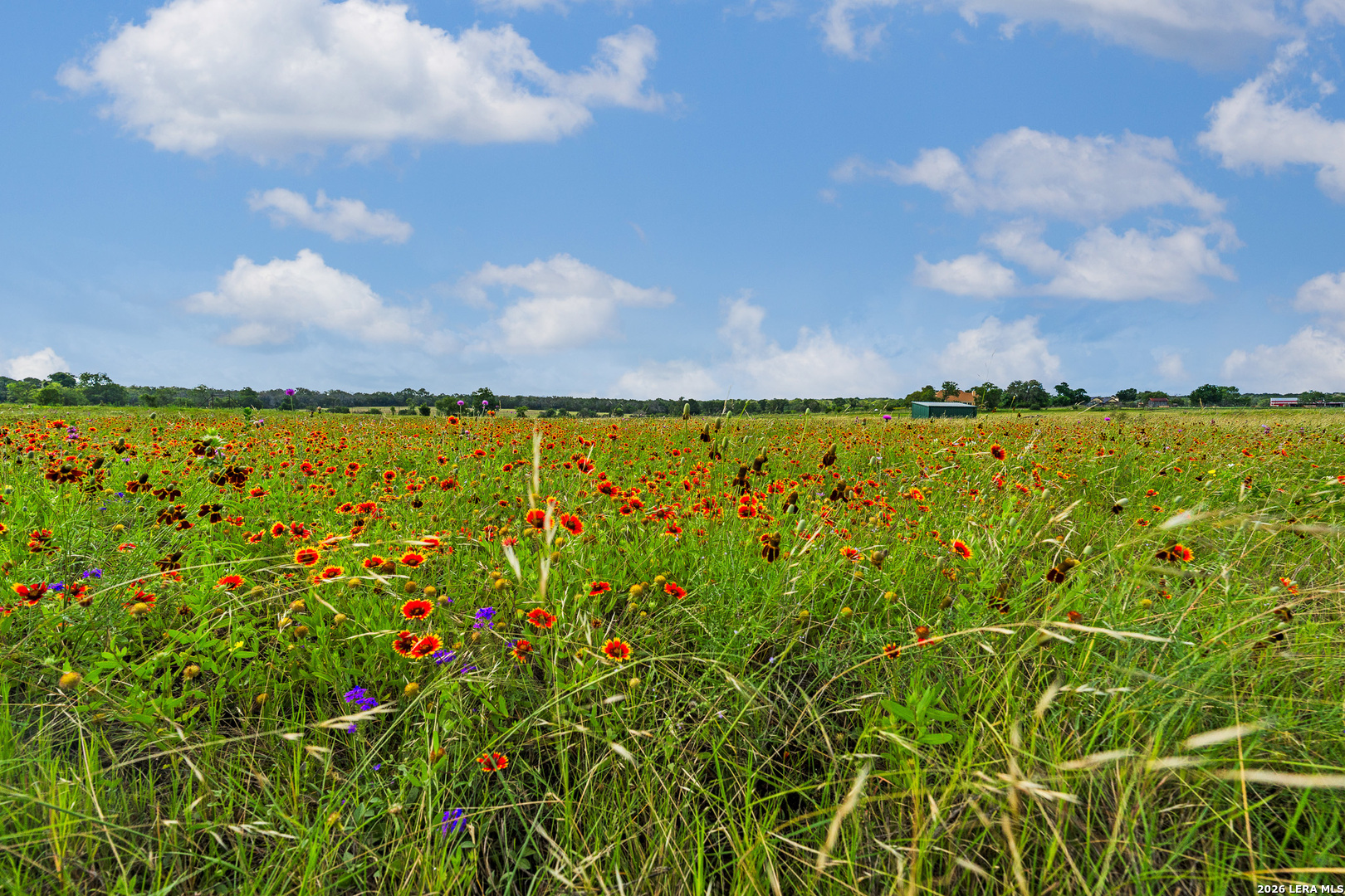 214 Marquardt Road Boerne, TX 78006 - Photo 7 of 65