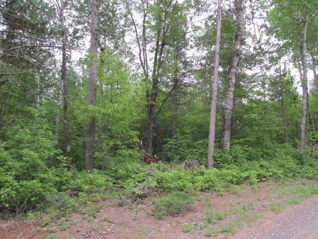 On Razorback Road Sayner, WI 54560 - Photo 13 of 15 Gallery Image 13