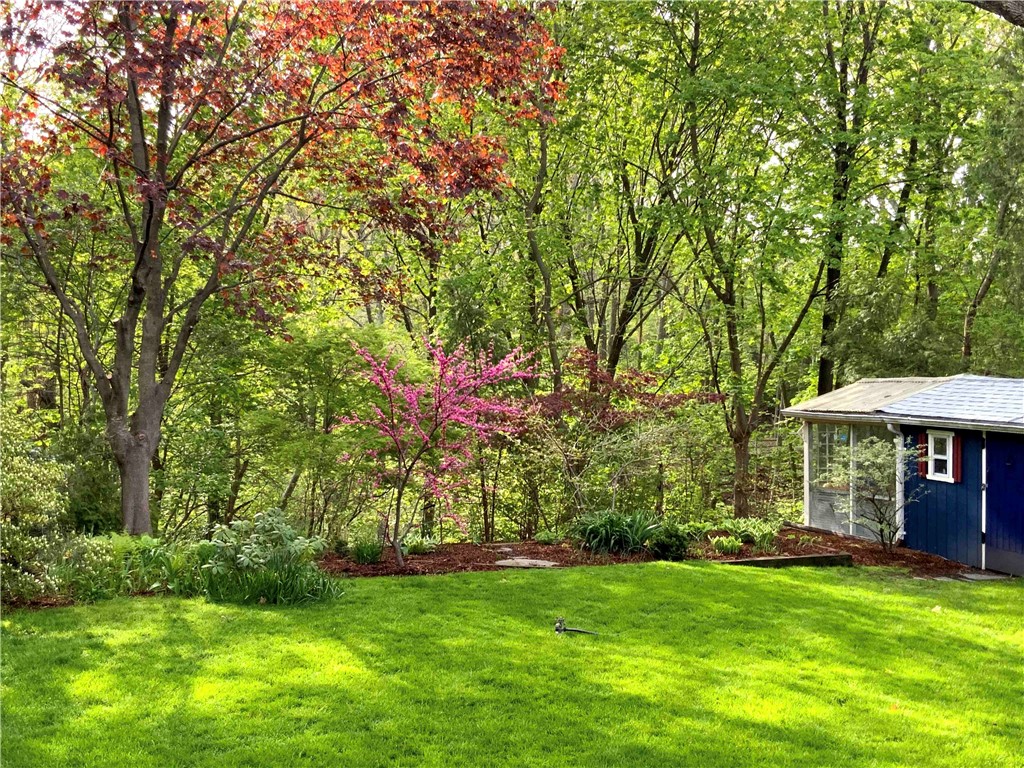 227 Irving Avenue Providence, RI 02906 - Photo 22 of 27 backyard in April