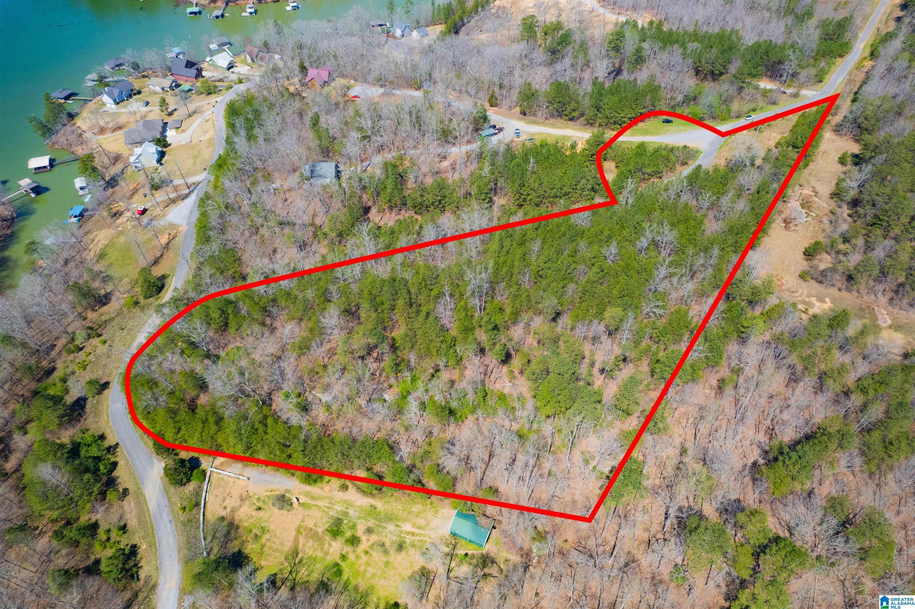 0 Lakeview Lane Houston, AL 35572 - Photo 3 of 15
