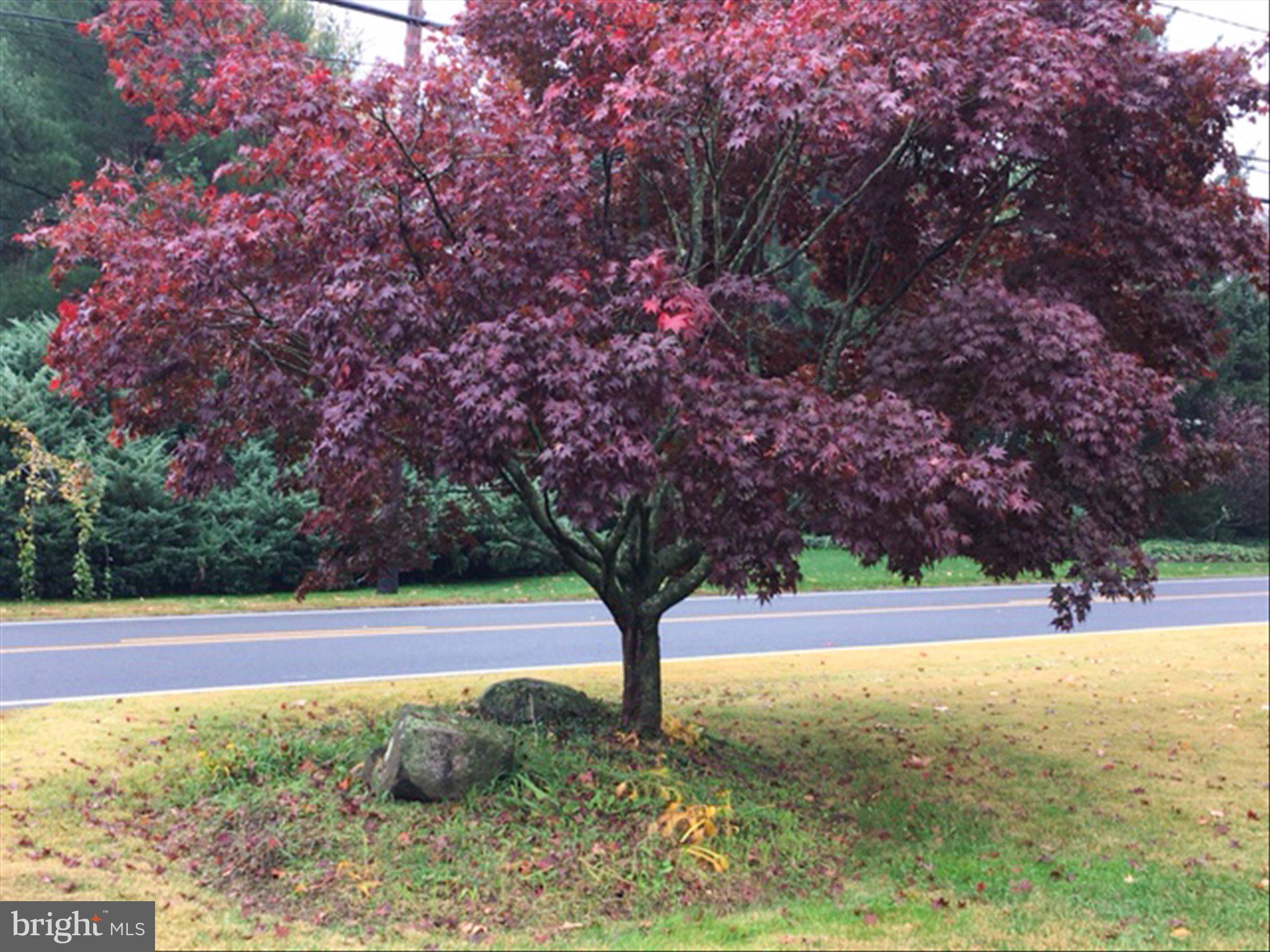 4 Eiker Road Cranbury, NJ 08512 - Photo 33 of 33 Seasonal view