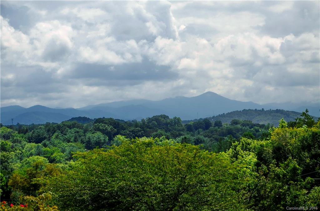324 Stratford Road Asheville, NC 28804 - Photo 3 of 23 Gallery Image 3