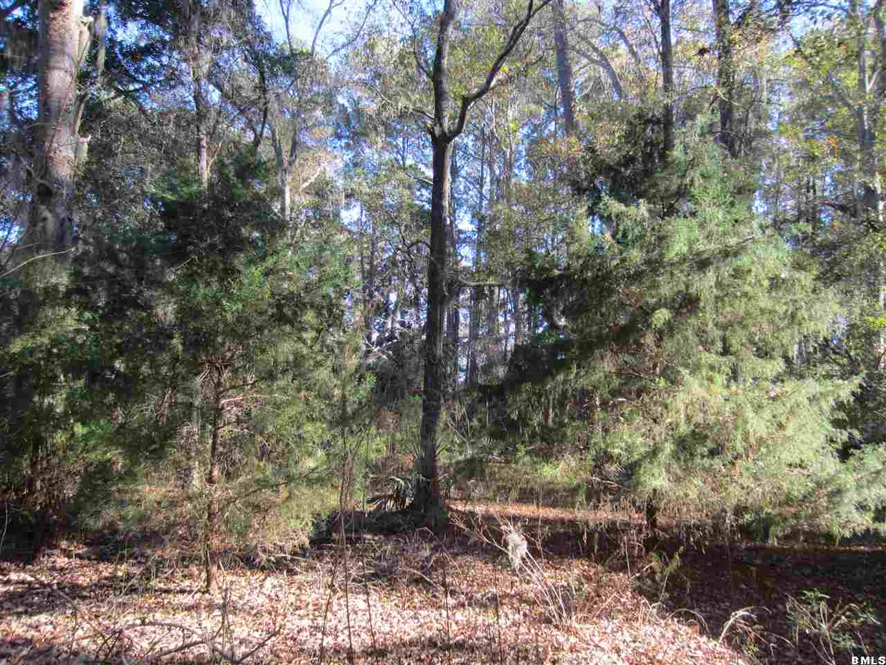 1487 Deloss Point Road Ridgeland, SC 29936 - Photo 29 of 34 Additional Photo