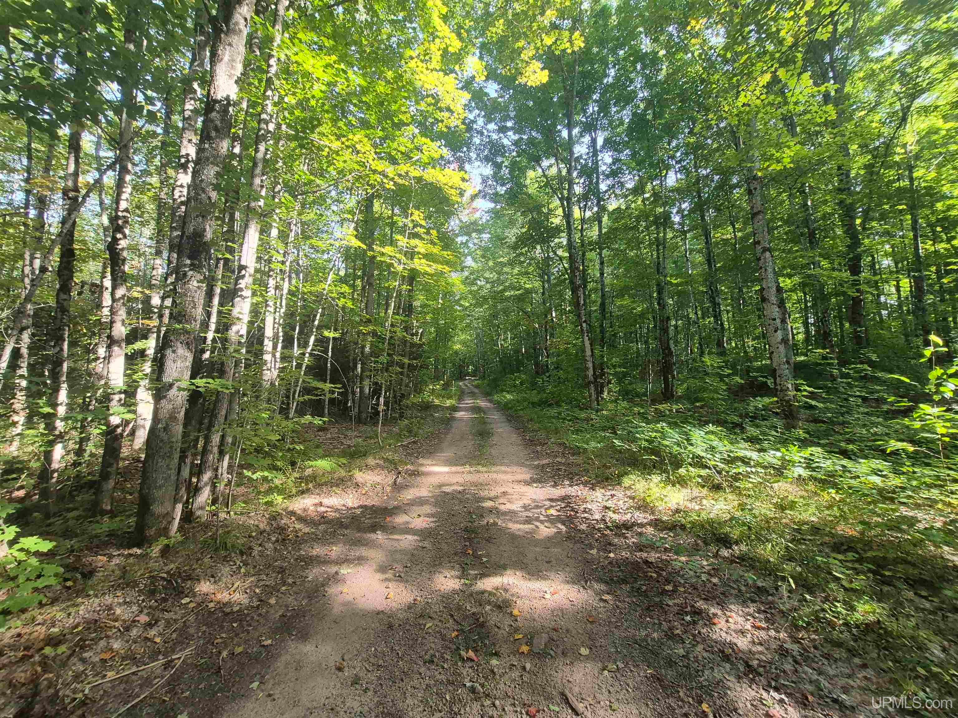 N8336 Sigan Road Deerton, MI 49822 - Photo 25 of 61 Gallery Image 25