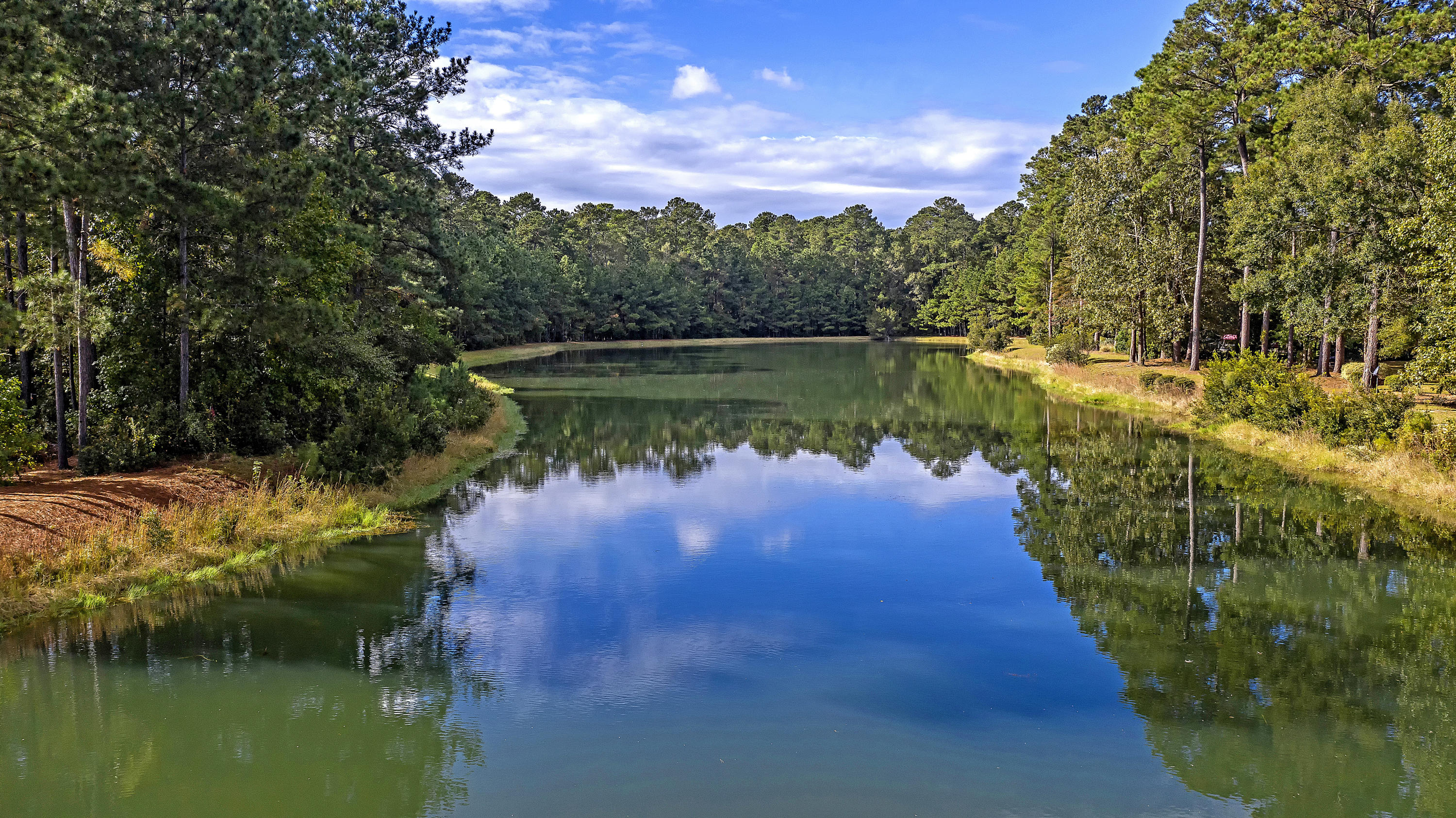 4164 Duck Club Road Hollywood, SC 29470 - Photo 7 of 100 CREM_4164 Duck Club Rd_020