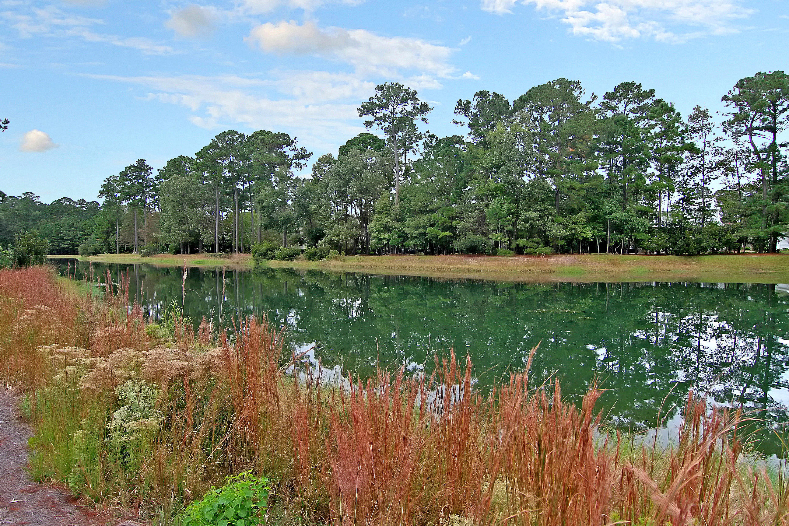 4164 Duck Club Road Hollywood, SC 29470 - Photo 62 of 100 CREM_4164 Duck Club Rd_032