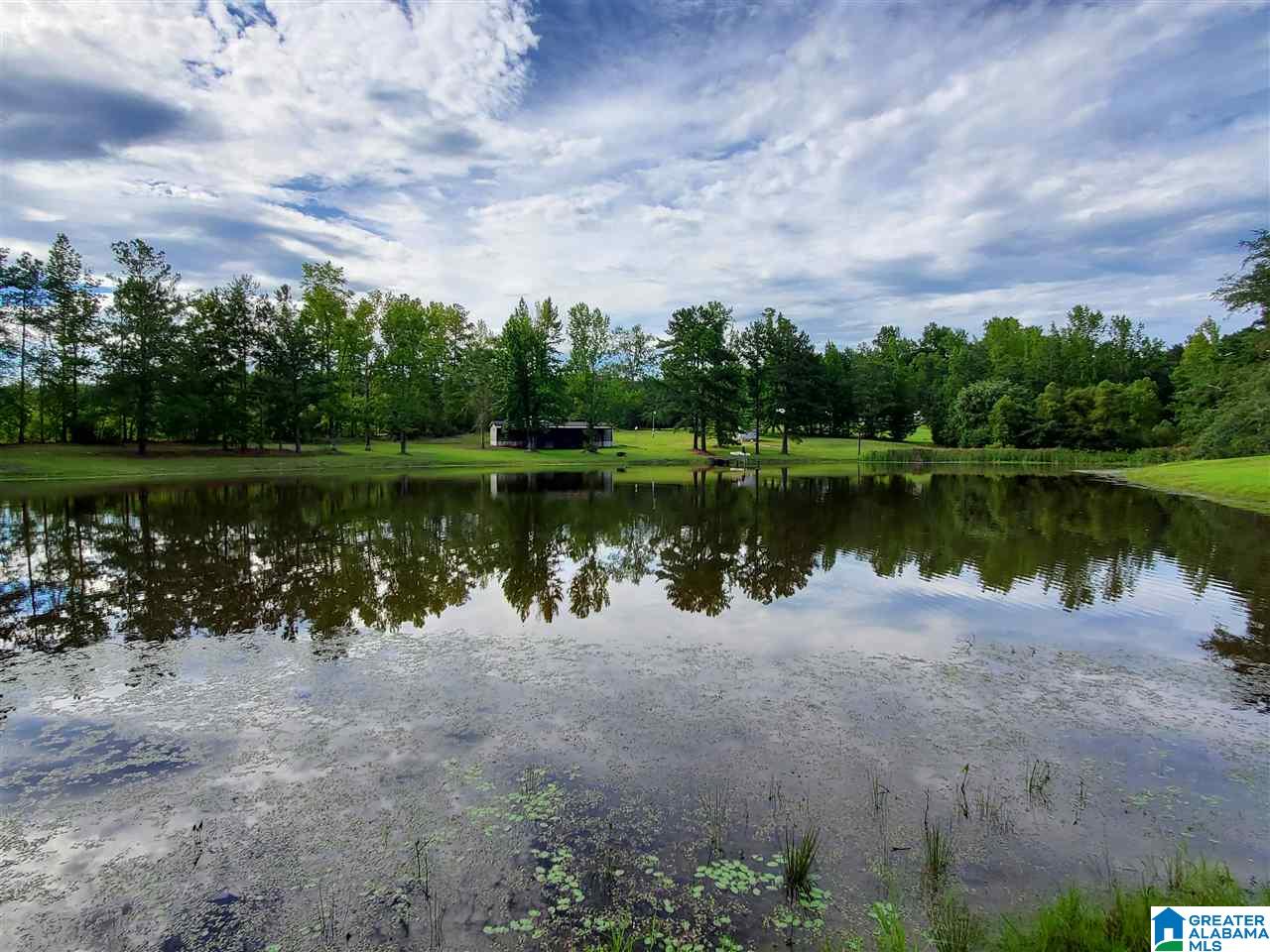 395 Hollow Branch Road Rockford, AL 35136 - Photo 1 of 26