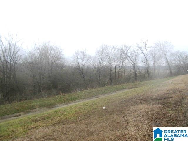 0 Spunky Hollow Road, Unit 98 ACRES Remlap, AL 35133 - Photo 2 of 4