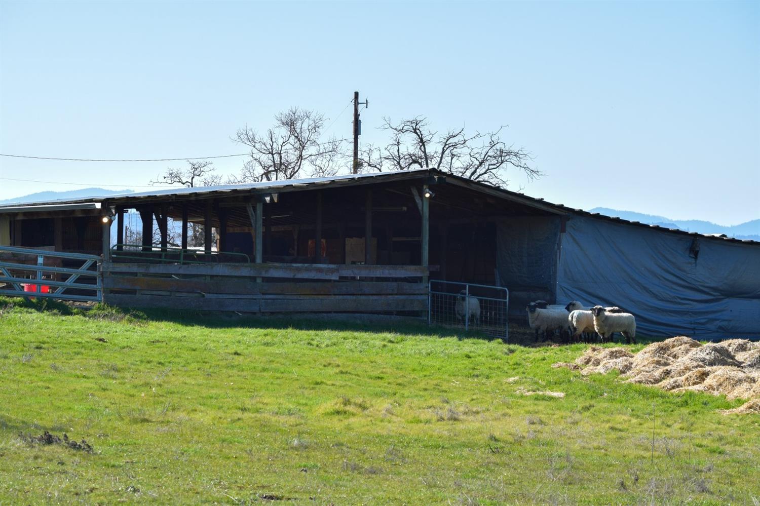 5468 Dodge Road White City, OR 97503 - Photo 21 of 32 Additional Photo