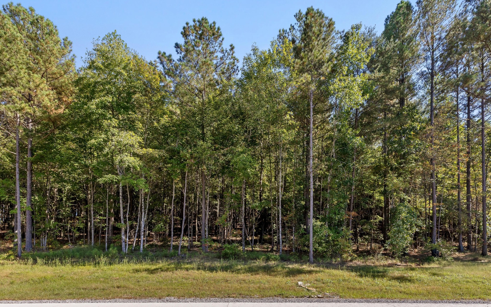 1110 Birds Eye Way Guild, TN 37340 - Photo 15 of 29 Gallery Image 15