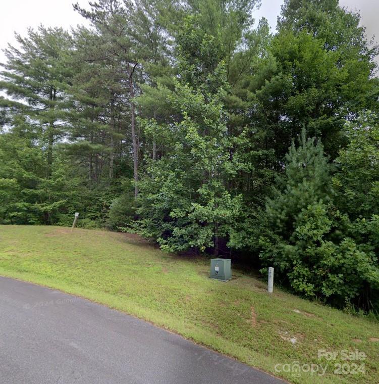 0 Collette Ridge Circle, Unit 141 Collettsville, NC 28611 - Photo 4 of 8 a view of a field with a trees