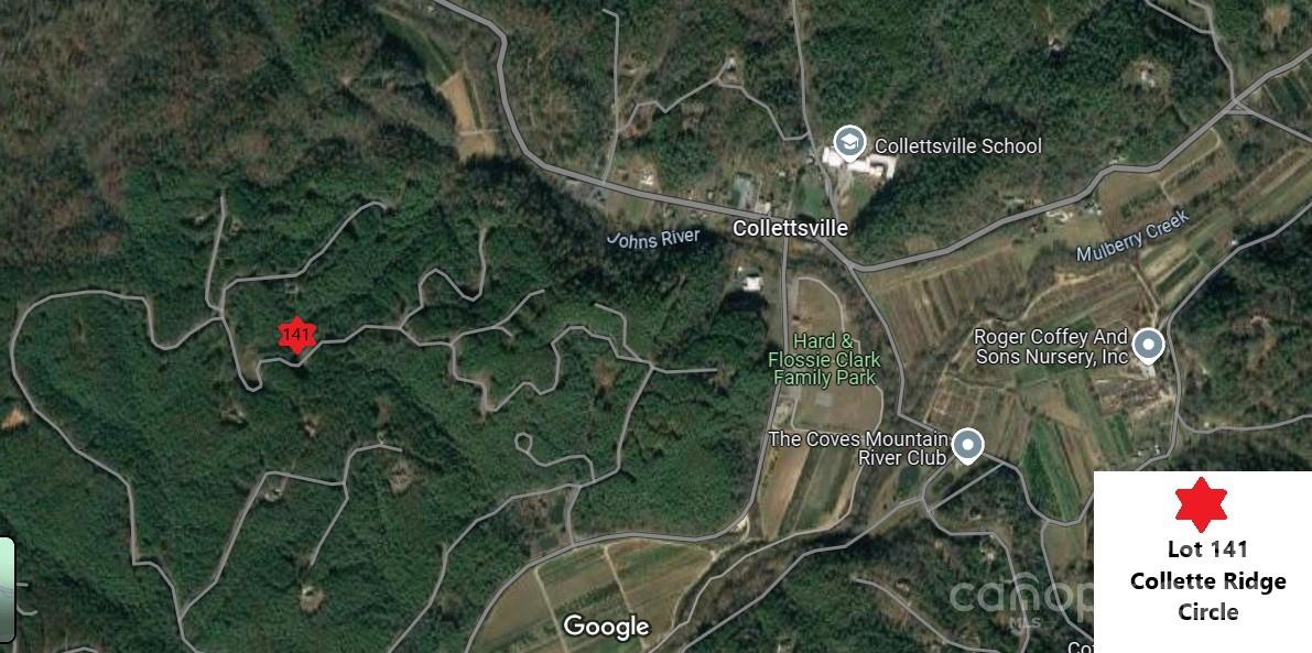 0 Collette Ridge Circle, Unit 141 Collettsville, NC 28611 - Photo 5 of 8 a picture of street view with garden