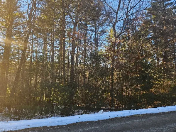 $29,000 | Tbd Holly Run, Glade Valley, NC 28627
