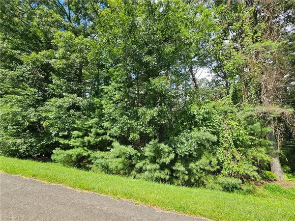 $29,000 | Tbd Holly Run, Glade Valley, NC 28627