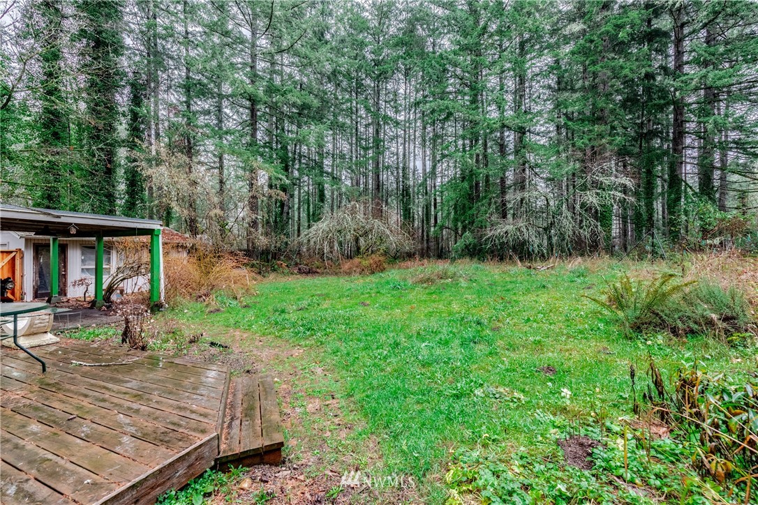 4004 Cooper Point Road Northwest Olympia, WA 98502 - Photo 28 of 28 a view of a backyard with large trees and plants