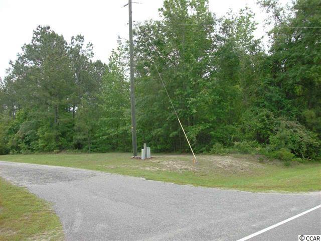 871 Mcnab Shortcut Road Loris, SC 29569 - Photo 2 of 11 Gallery Image 2