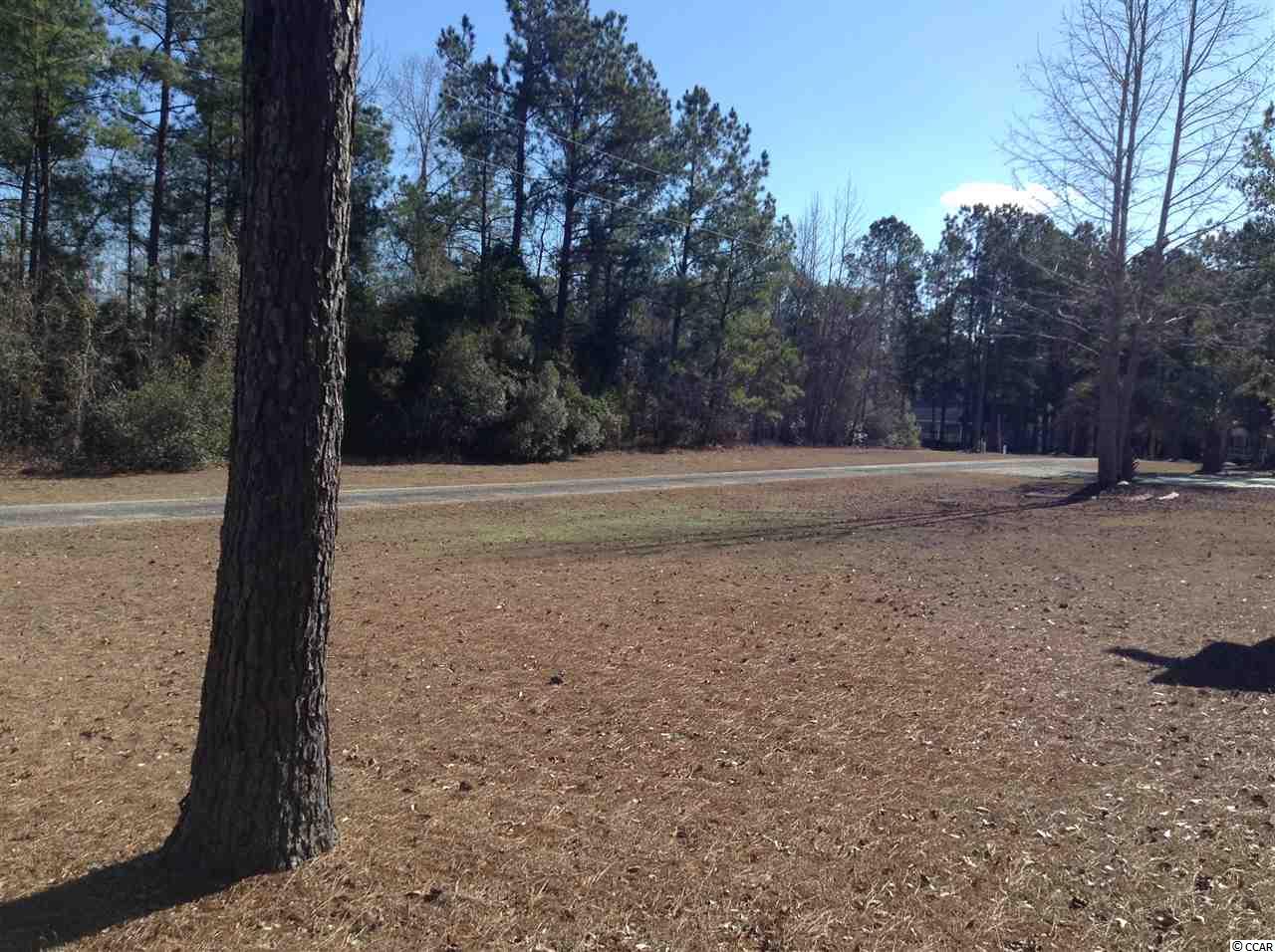 871 Mcnab Shortcut Road Loris, SC 29569 - Photo 11 of 11 Gallery Image 11