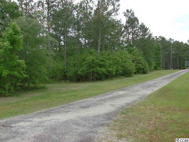 871 Mcnab Shortcut Road Loris, SC 29569 - Photo 3 of 11 Gallery Image 3