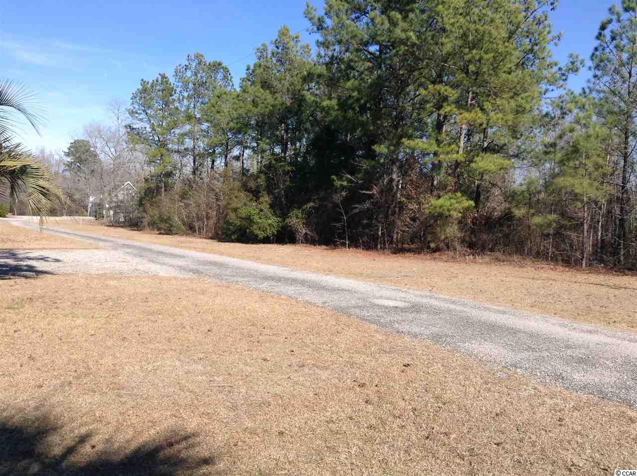 871 Mcnab Shortcut Road Loris, SC 29569 - Photo 4 of 11 Gallery Image 4