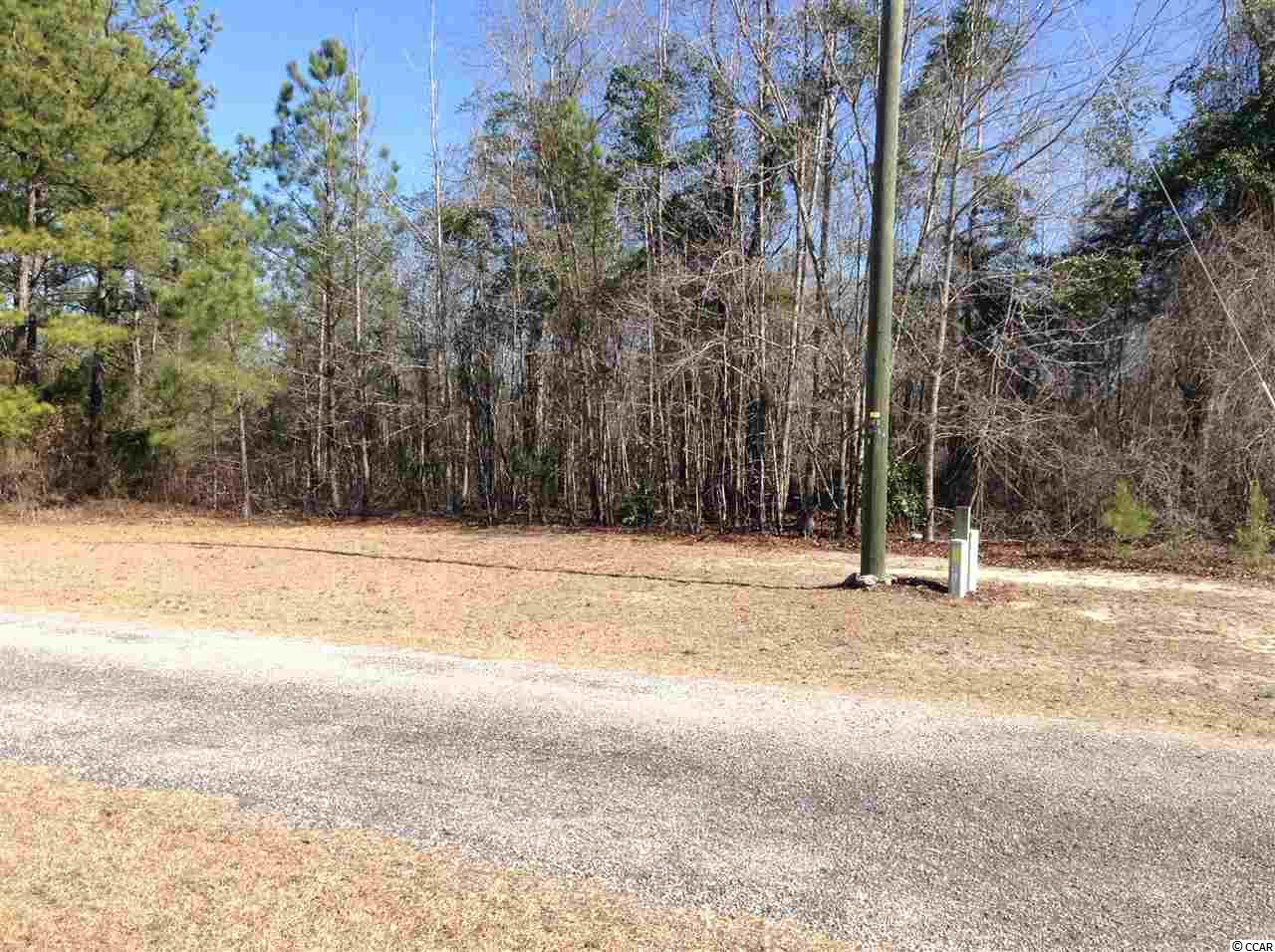 871 Mcnab Shortcut Road Loris, SC 29569 - Photo 5 of 11 Gallery Image 5