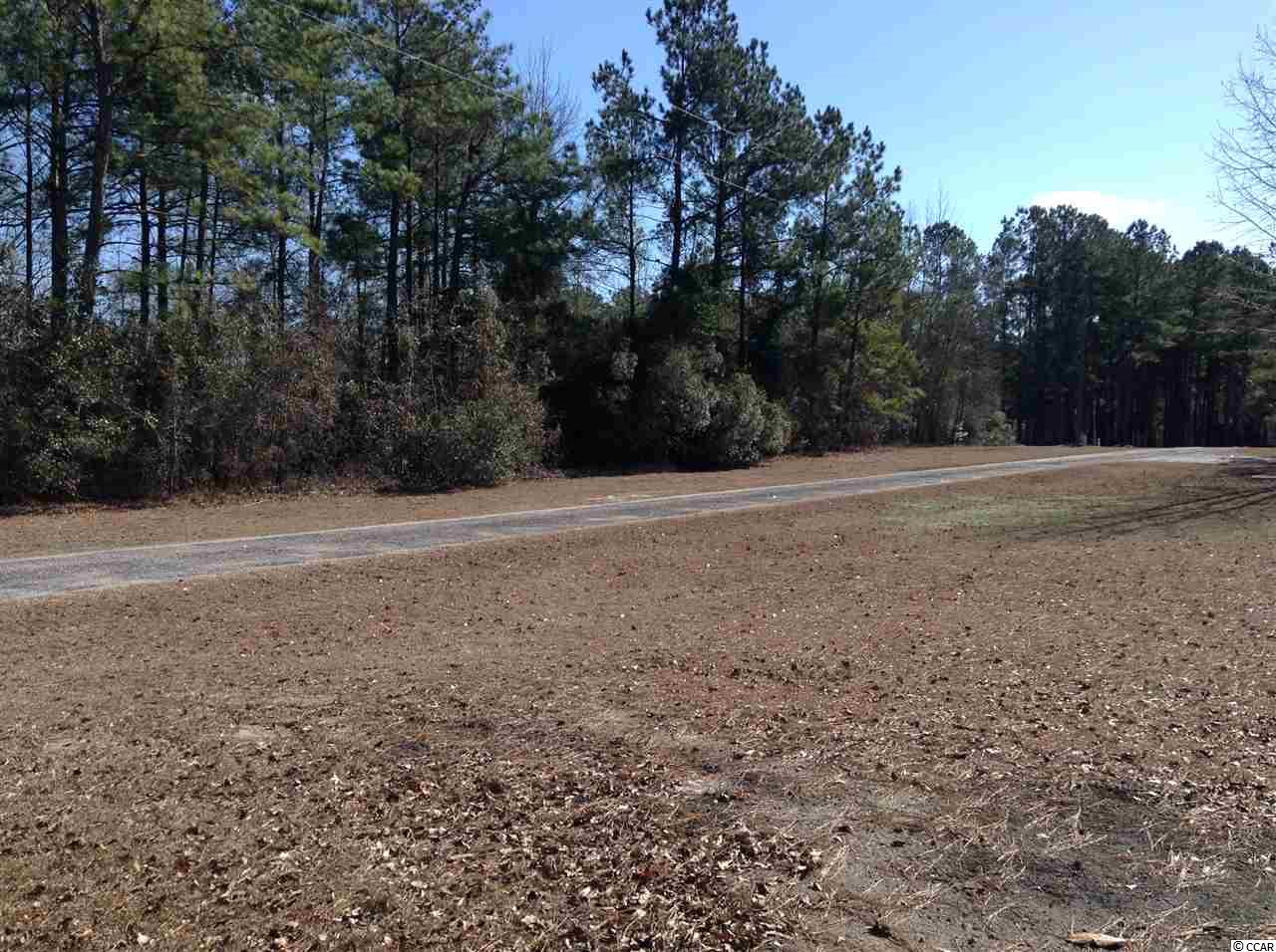 871 Mcnab Shortcut Road Loris, SC 29569 - Photo 9 of 11 Gallery Image 9