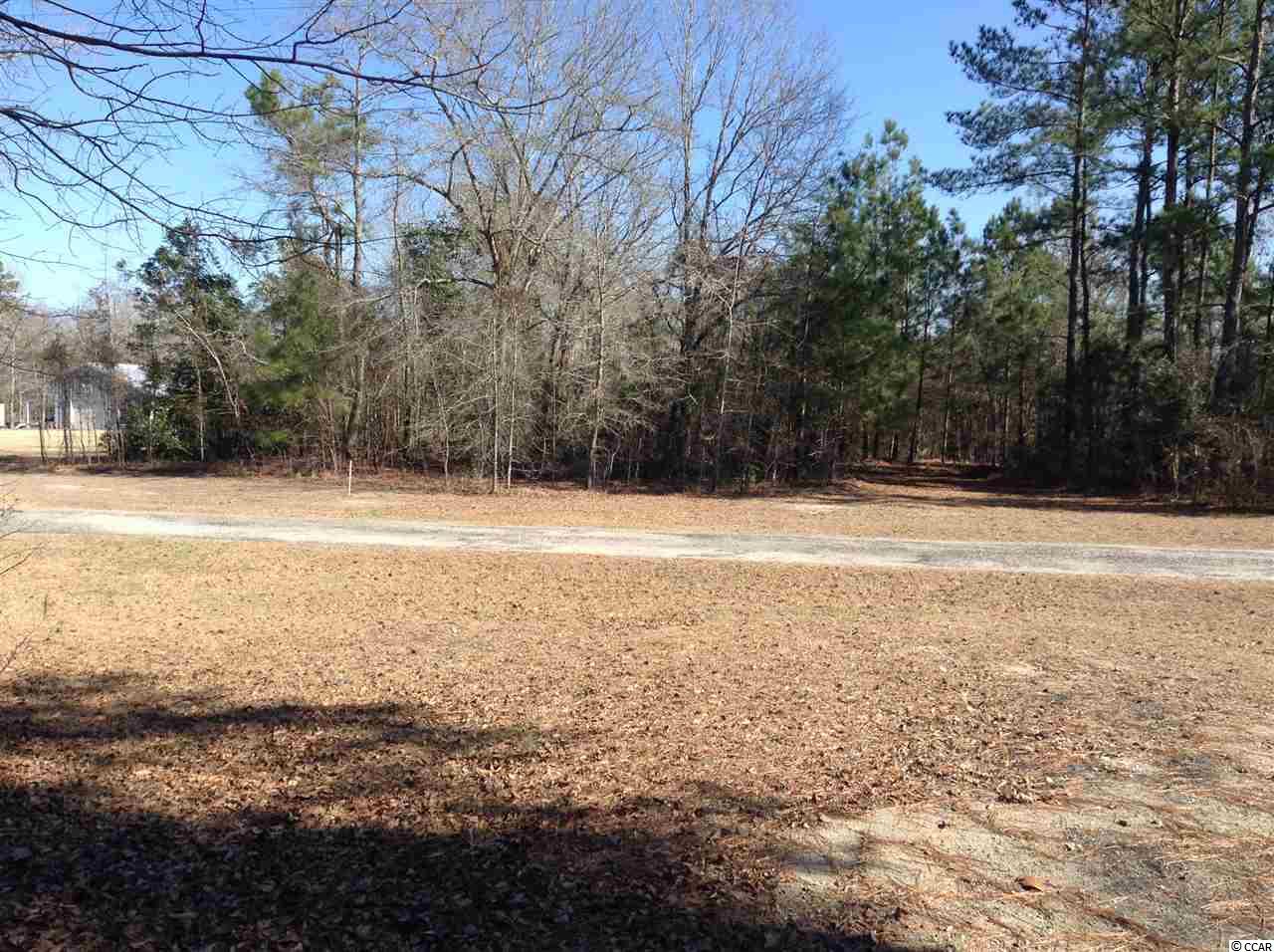 871 Mcnab Shortcut Road Loris, SC 29569 - Photo 10 of 11 Gallery Image 10