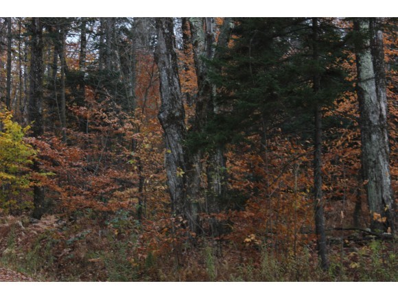70 Glebe Mountain Road Windham, VT 05359 - Photo 2 of 7