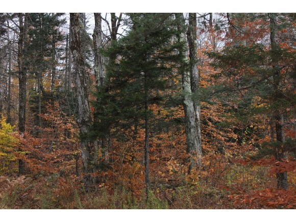 70 Glebe Mountain Road Windham, VT 05359 - Photo 3 of 7