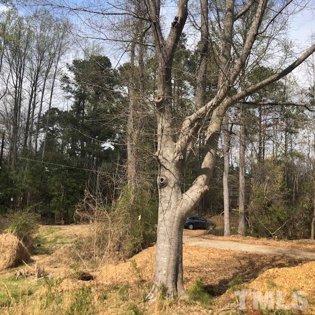8513 Ray Road Raleigh, NC 27613 - Photo 3 of 6 a backyard of a house with lots of green space