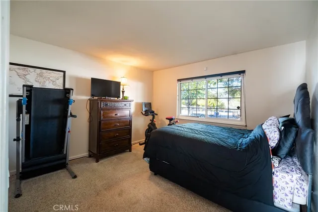 a bedroom with a bed and a television