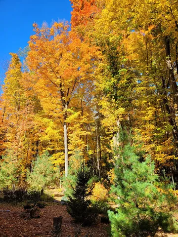 $859,900 | 46 Camp Madron Road, Unit 46, Buchanan, MI 49107