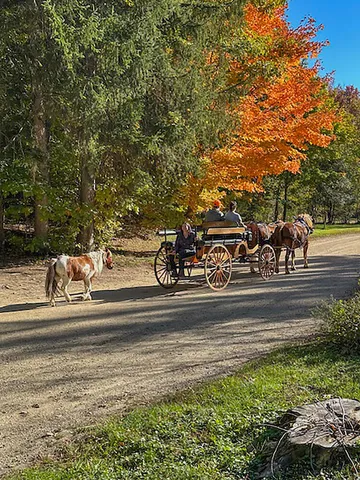 $859,900 | 46 Camp Madron Road, Unit 46, Buchanan, MI 49107