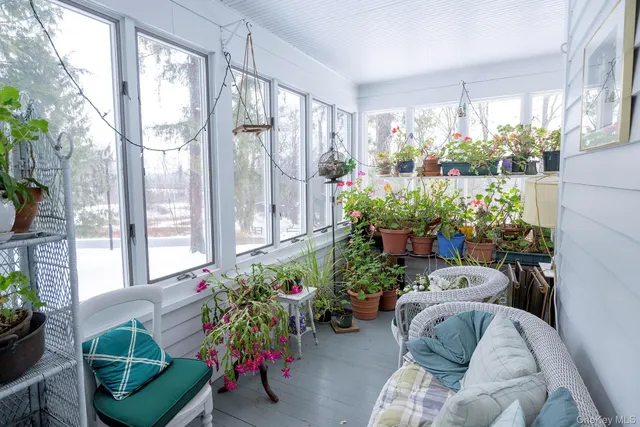 a living room filled with furniture and a potted plant
