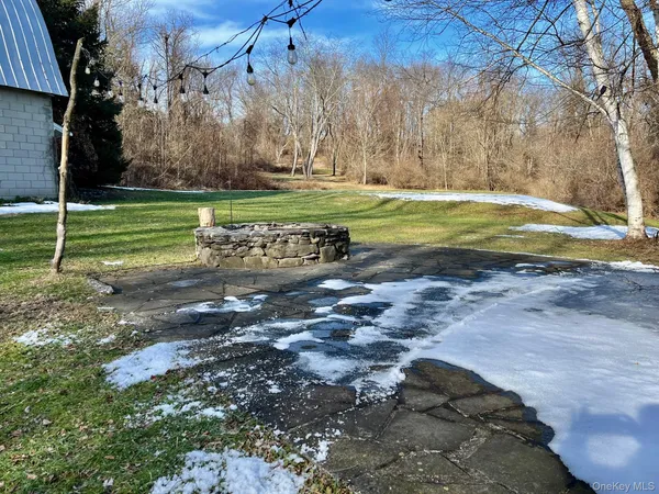a view of a park with large trees
