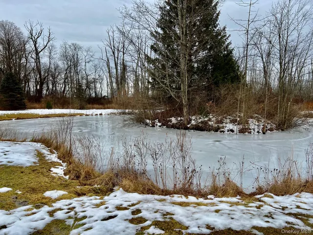 a view of a backyard of the house