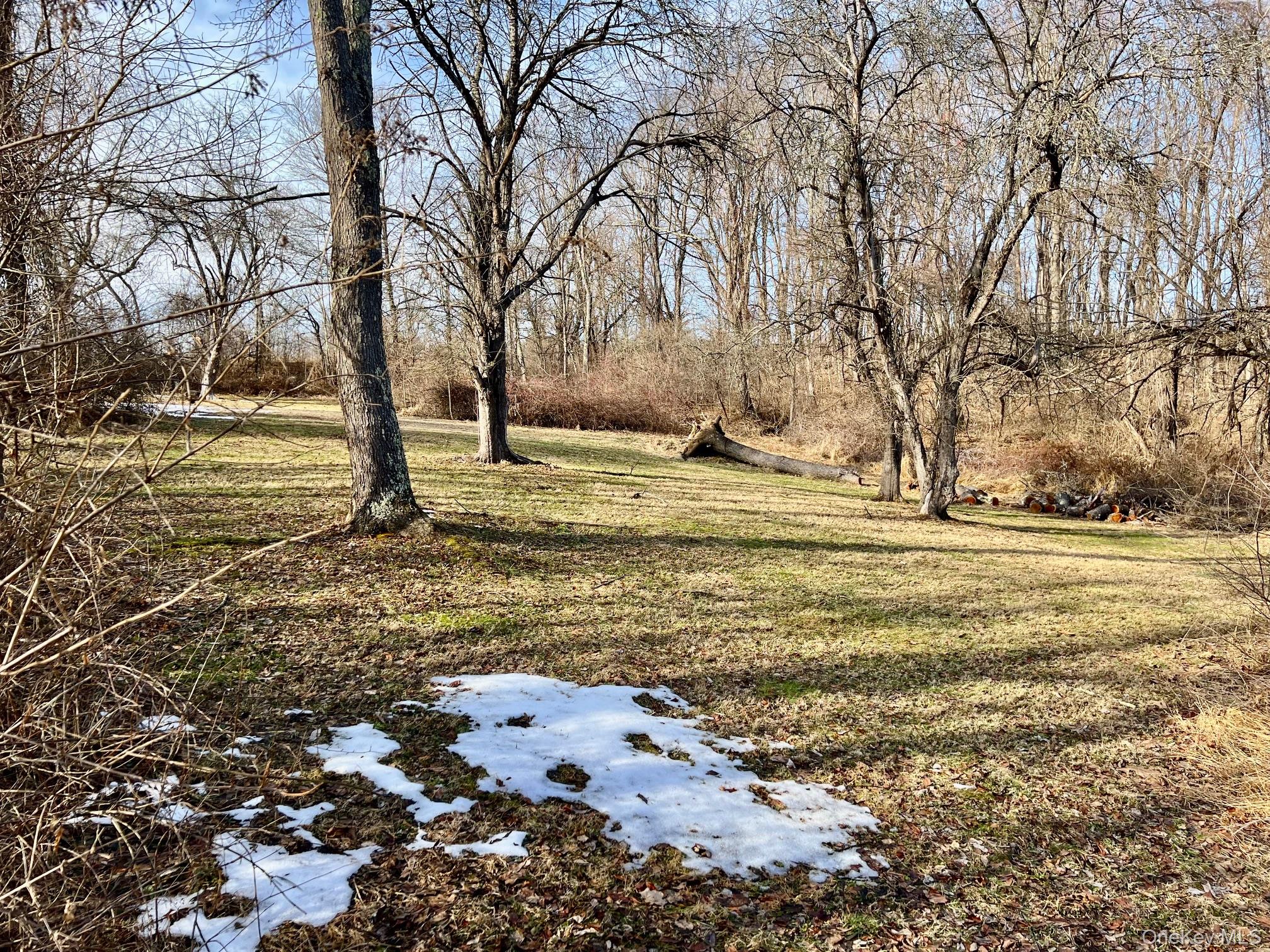 819 Van Wagner Road Poughkeepsie, NY 12601 - Photo 40 of 44 a view of a yard with trees