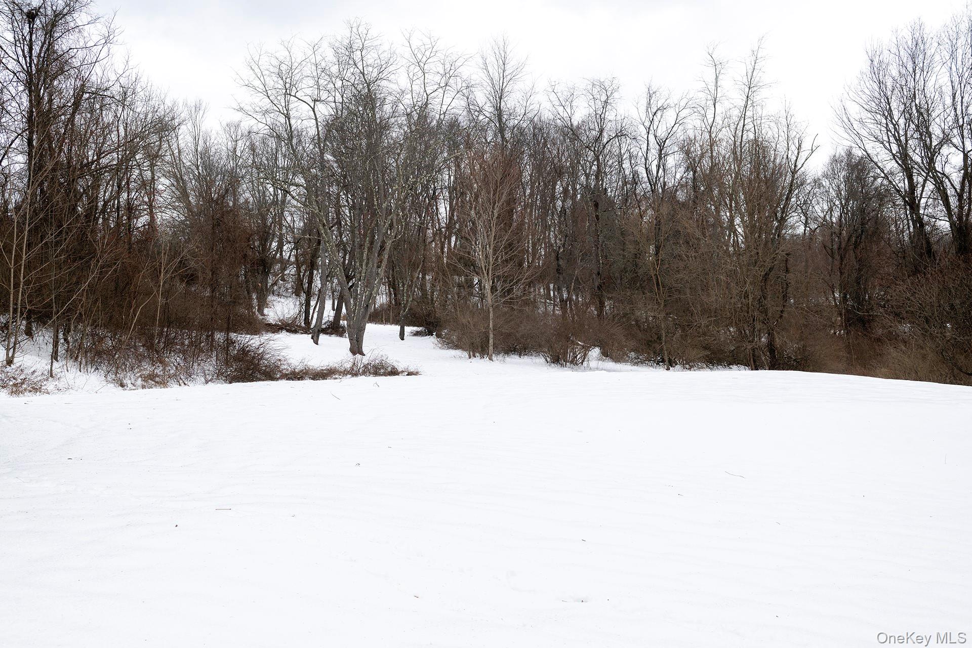 819 Van Wagner Road Poughkeepsie, NY 12601 - Photo 5 of 44 a view of wooden fence and trees in the background