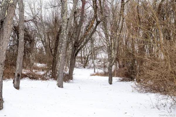 a view of snow covered with trees