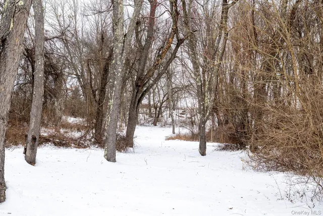 a view of snow covered with trees